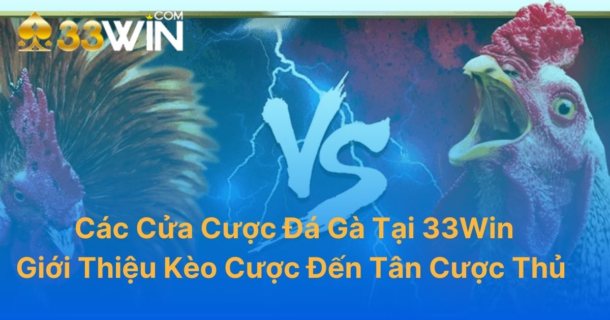 Các Cửa Cược Đá Gà Tại 33WIN